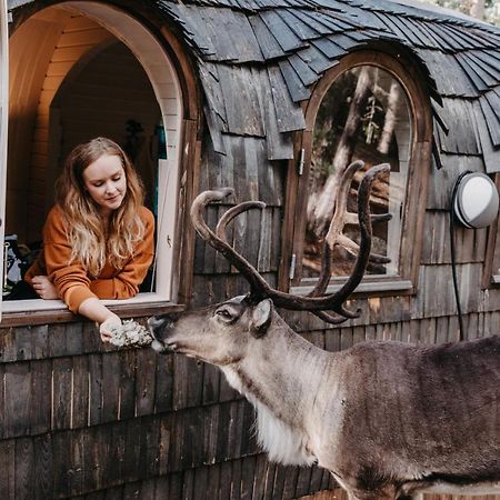 Villa Igluhut - Sleep With Reindeer Espoo Exterior foto