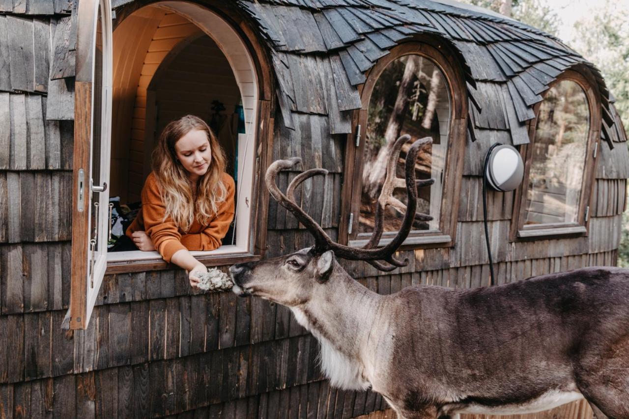 Villa Igluhut - Sleep With Reindeer Espoo Exterior foto